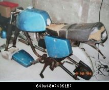 20431