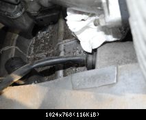 26203