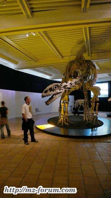 Dinoausstellung Rosenheim