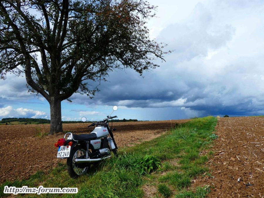 Herbstanfang im Kraichgau (1): Zwischen Rohrbach und Landshausen