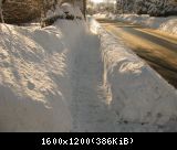 E930 Schneefräse