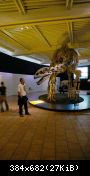 Dinoausstellung Rosenheim