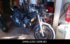 XJ 600 51j