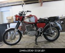 TS 250/1