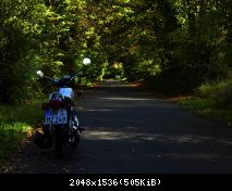 Waldweg zum Fluss Neckar bei Zwingenberg