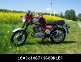 TS 250/1 Baujahr 1980