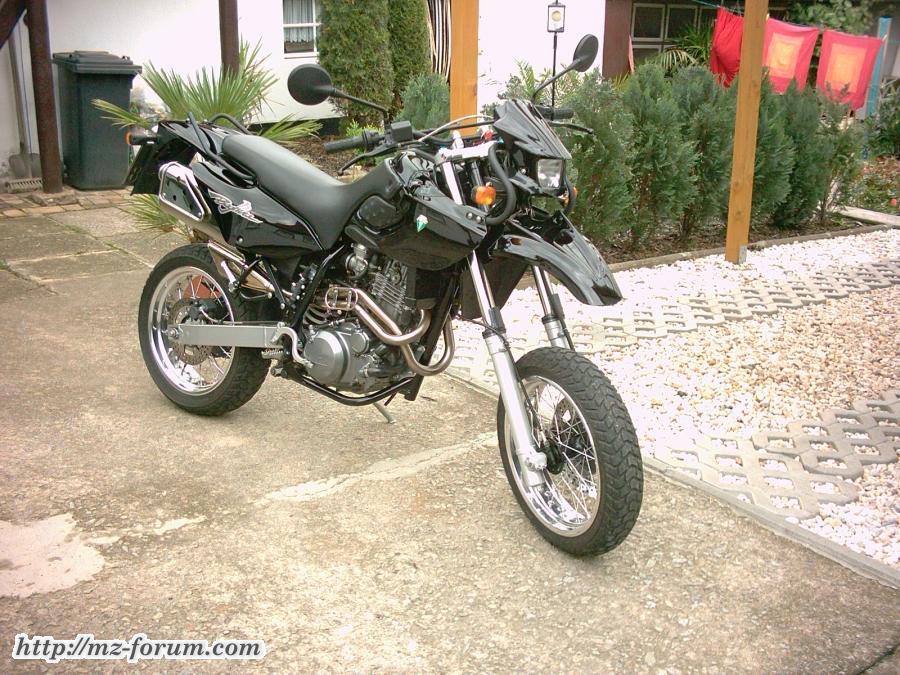 Baghira  Black Panther