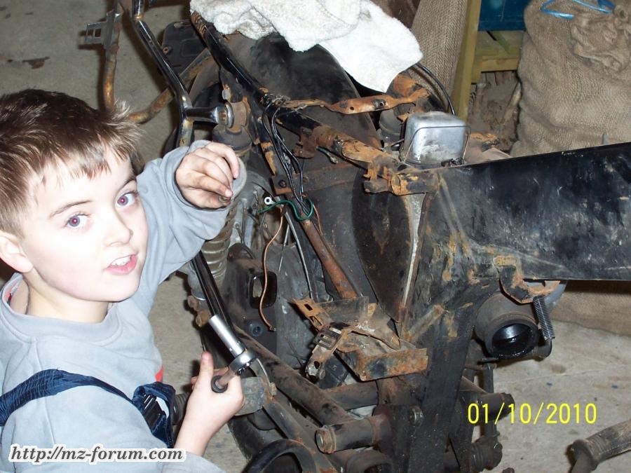 Junior hielft kräftig mit