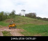 Schwalbenflug (1)