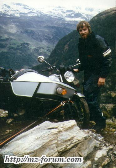 Gavia
