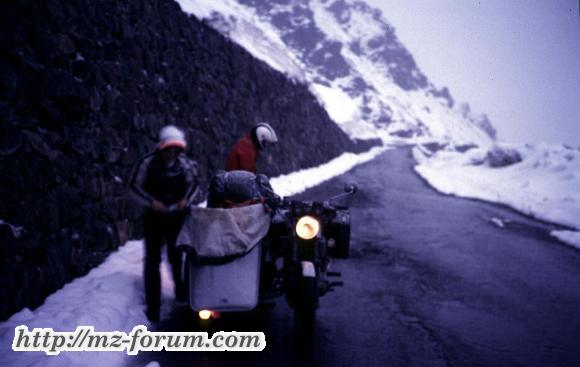 Gavia2
