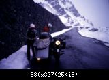 Gavia2