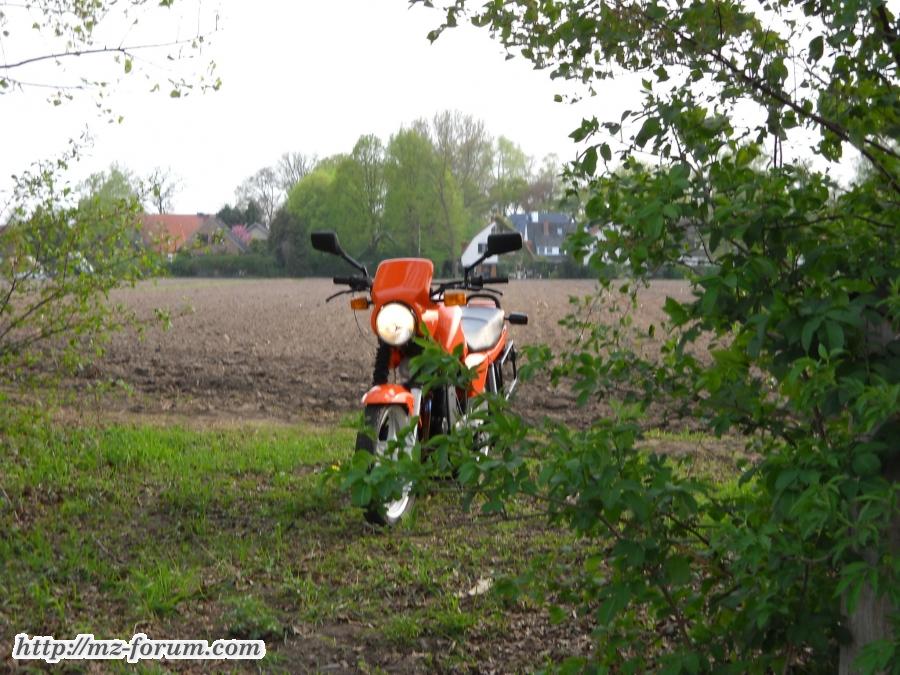 DSCN0512