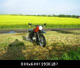 MZ ES 250/2  Name der Schönen: Mirinda