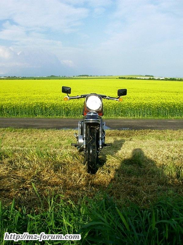 MZ ES 250/2  Name der Schönen: Mirinda