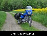 DSC 0963