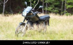 DSCF3174