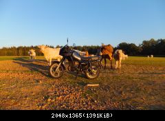 DSCF3582