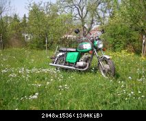 SANY1977