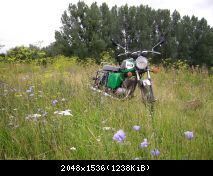 SANY2046