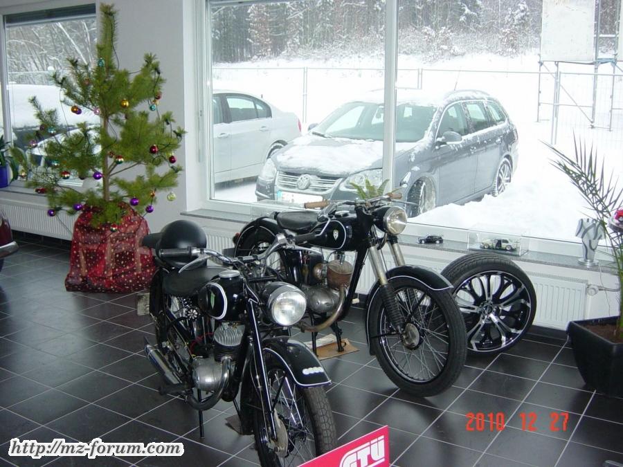 Ladys im Winterquartier