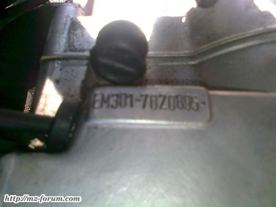Foto0267