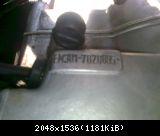 Foto0267