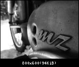 MZ