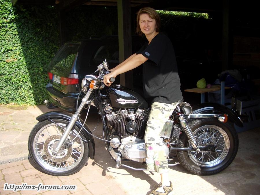 Sportster