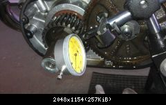 IMAG0167