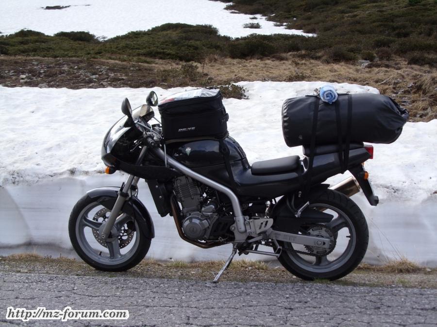 Skorpion "schnee"