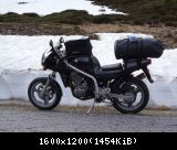 Skorpion "schnee"