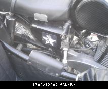pic06539
