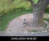 SDC12826