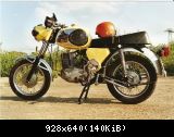 TS 250