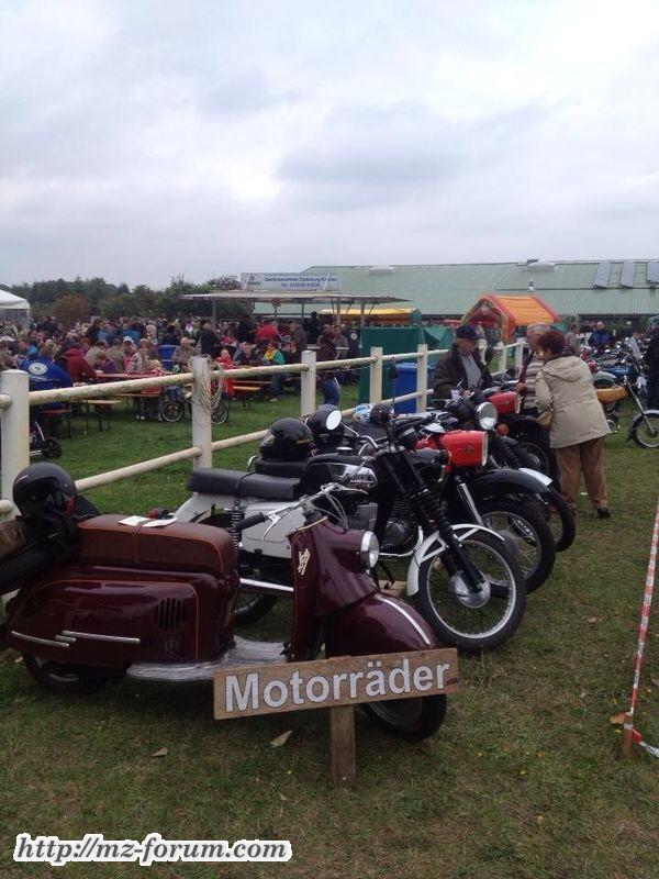 Männchen sein Spielzeug!