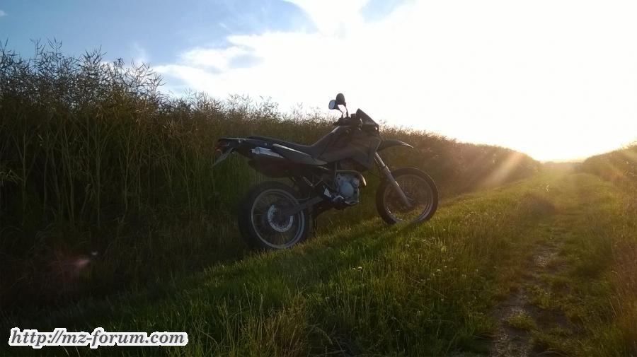 WP 20170713 20 35 22 Pro