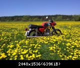 300420121192
