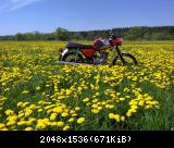 300420121193