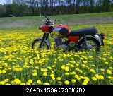 300420121194