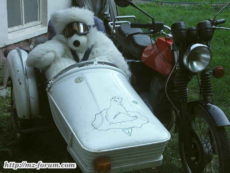 Mein Eisbär