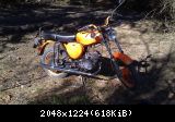 Moped