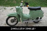 schwalbe  28.04.11 004