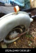 IMG 0594