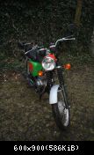 IMG 4176