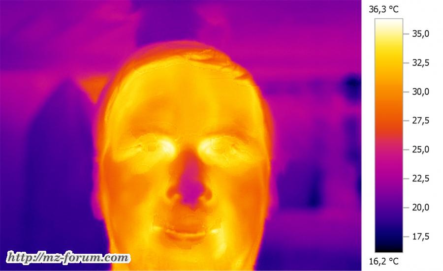 Thermo