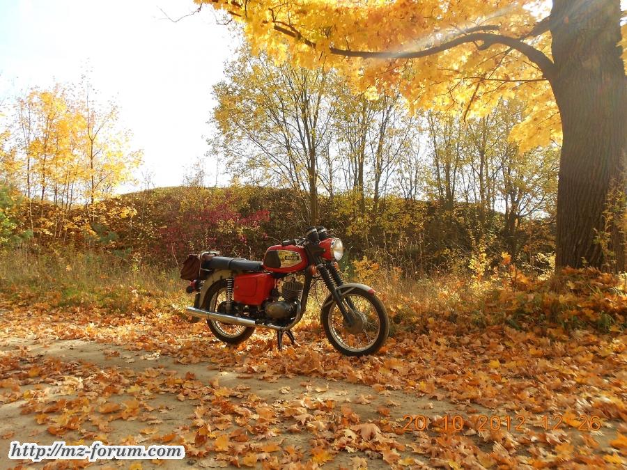 Herbst auf dem Seeberg 2012