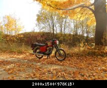 Herbst auf dem Seeberg 2012