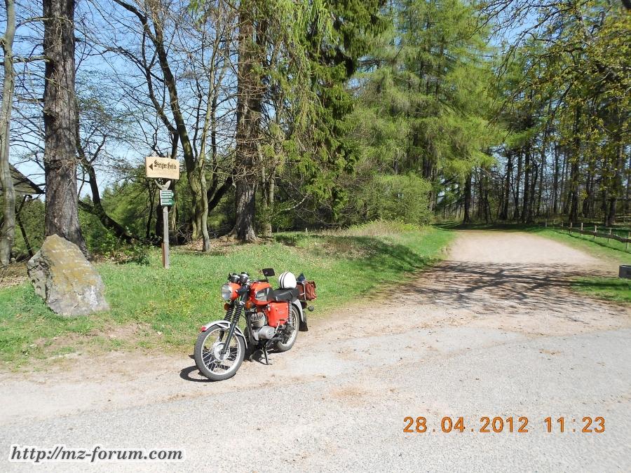 Frühling im Thüringer Wald
