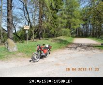 Frühling im Thüringer Wald